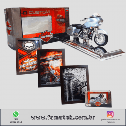 Kit 1 Quadro decorativo + 1 Miniatura 1/18 H-D 2002 FLTR Road Glide Prata com caixa Harley-Davidson